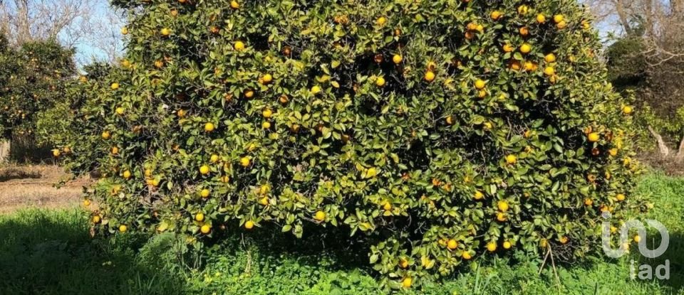 Land in Paderne of 1,120 m²