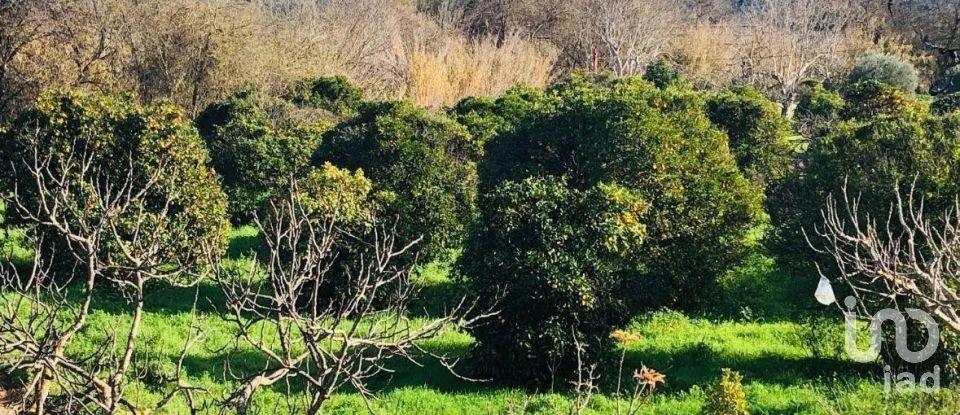 Land in Paderne of 1,120 m²