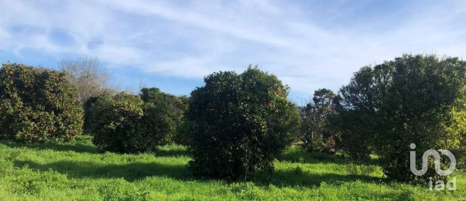 Land in Paderne of 1,120 m²