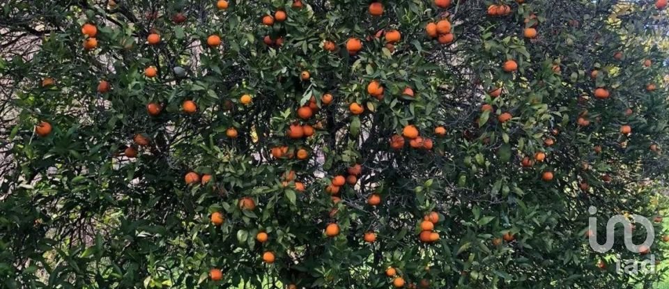 Land in Paderne of 1,120 m²