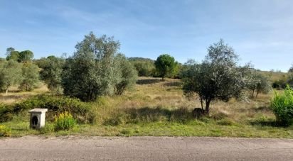 Terreno rústico em Colmeias e Memória de 2 633 m²