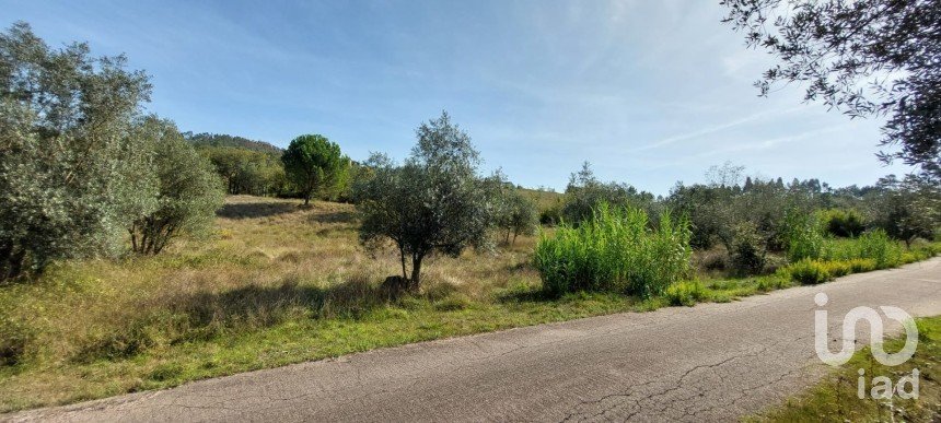 Farm land in Colmeias e Memória of 2,633 m²