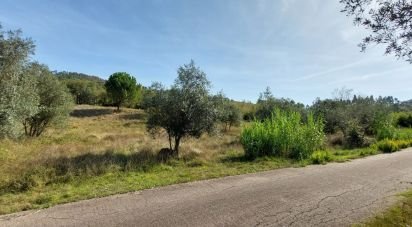 Terrain agricole à Colmeias e Memória de 2 633 m²
