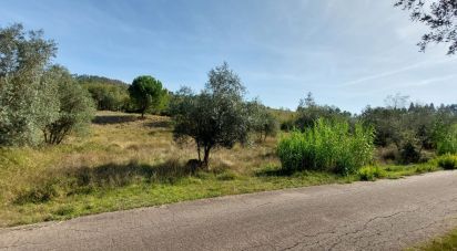 Terreno rústico em Colmeias e Memória de 2 633 m²