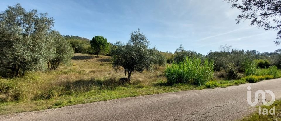 Farm land in Colmeias e Memória of 2,633 m²