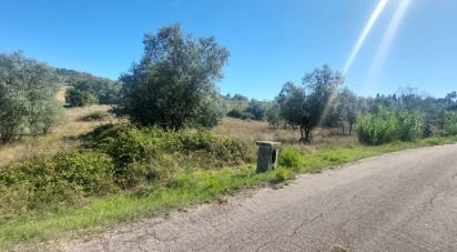 Terrain agricole à Colmeias e Memória de 2 633 m²
