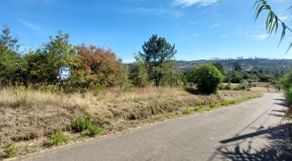 Terreno em Colmeias e Memória de 350 m²