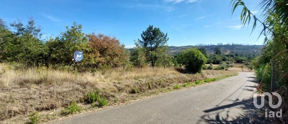 Land in Colmeias e Memória of 350 m²