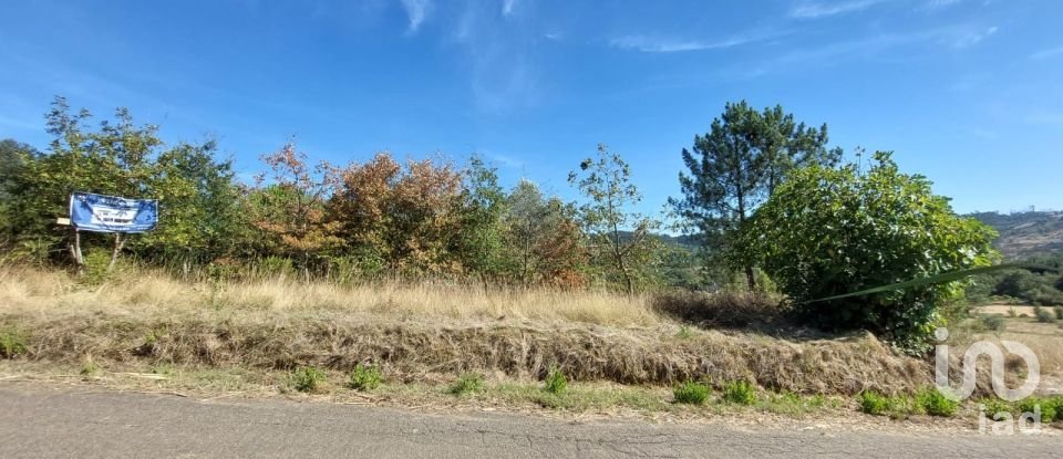 Land in Colmeias e Memória of 350 m²