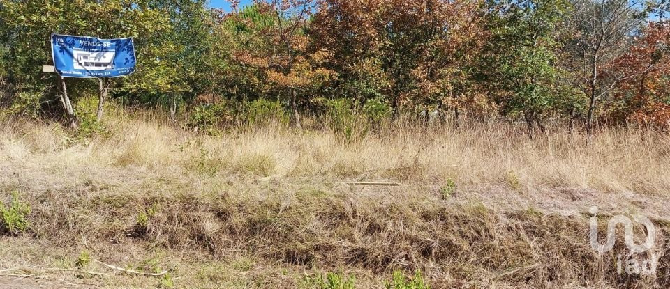 Land in Colmeias e Memória of 350 m²