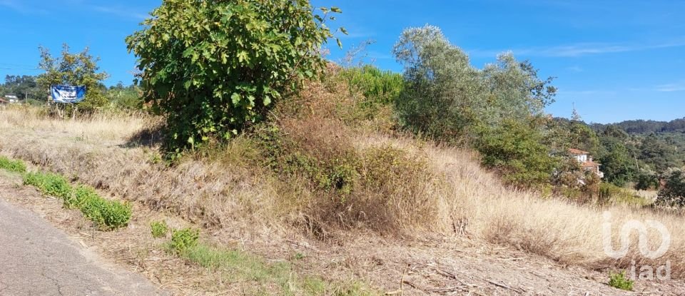 Land in Colmeias e Memória of 350 m²