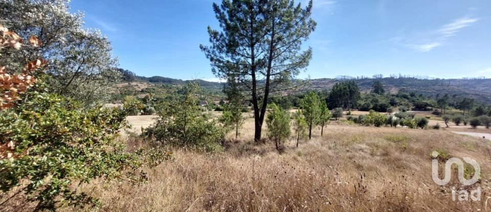 Land in Colmeias e Memória of 350 m²