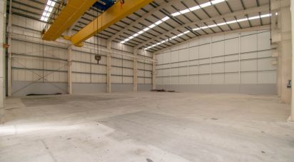 Armazém T0 em Marinha Grande de 957 m²