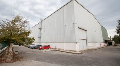 Armazém T0 em Marinha Grande de 957 m²