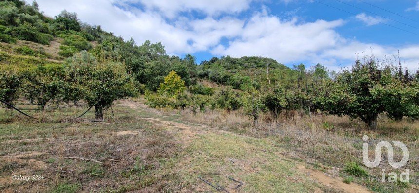 Terreno em Azueira e Sobral da Abelheira de 18 259 m²