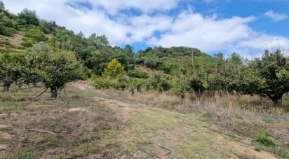 Terrain à Azueira e Sobral da Abelheira de 18 259 m²