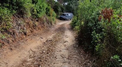 Terrain à Azueira e Sobral da Abelheira de 18 259 m²