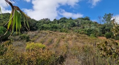 Terrain à Azueira e Sobral da Abelheira de 18 259 m²