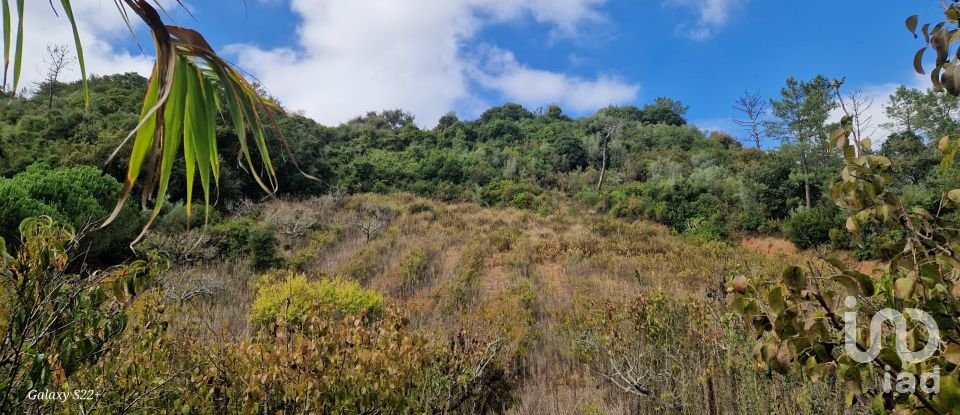 Terreno em Azueira e Sobral da Abelheira de 18 259 m²
