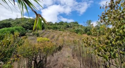 Terrain à Azueira e Sobral da Abelheira de 18 259 m²
