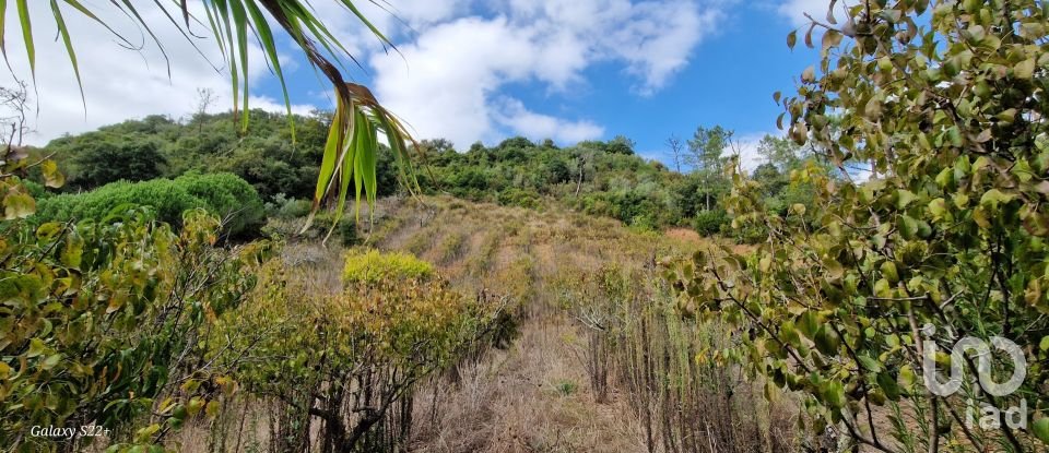 Terreno em Azueira e Sobral da Abelheira de 18 259 m²