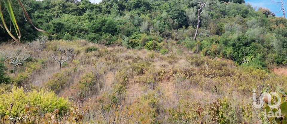 Terreno em Azueira e Sobral da Abelheira de 18 259 m²