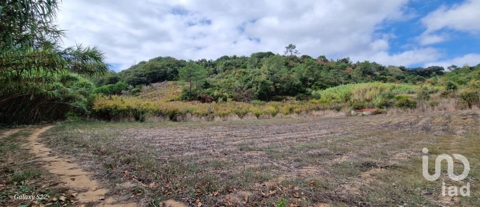 Terreno em Azueira e Sobral da Abelheira de 18 259 m²