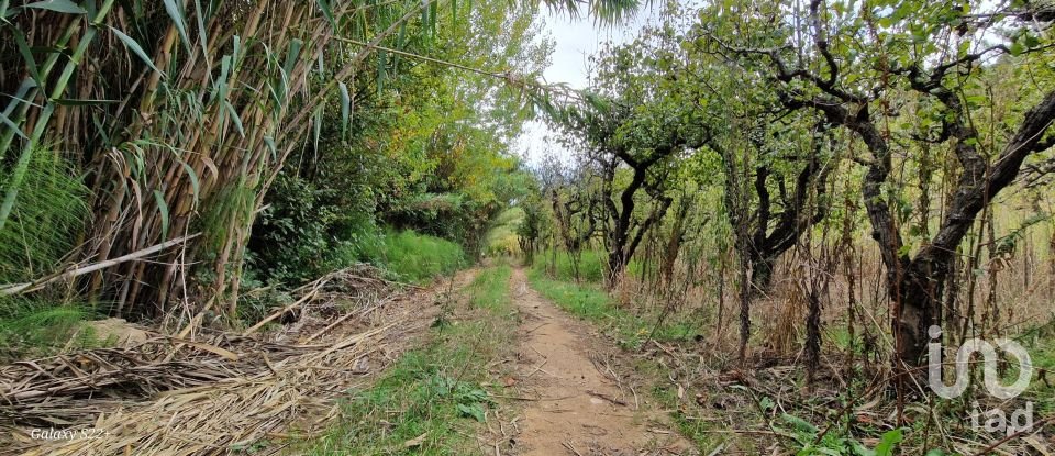 Terreno em Azueira e Sobral da Abelheira de 18 259 m²