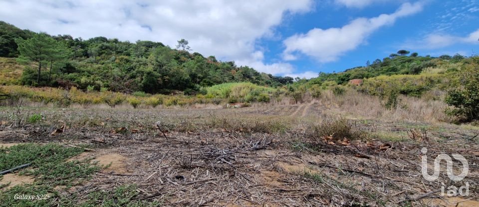 Terreno em Azueira e Sobral da Abelheira de 18 259 m²
