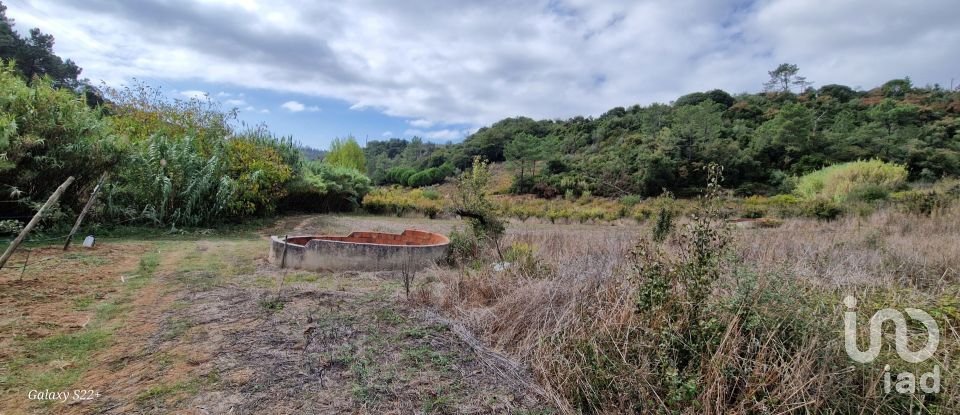 Terreno em Azueira e Sobral da Abelheira de 18 259 m²