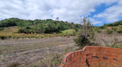 Terrain à Azueira e Sobral da Abelheira de 18 259 m²