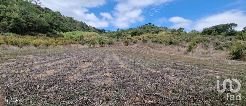 Terreno em Azueira e Sobral da Abelheira de 18 259 m²
