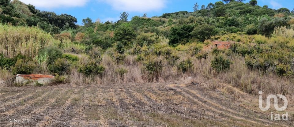 Terreno em Azueira e Sobral da Abelheira de 18 259 m²