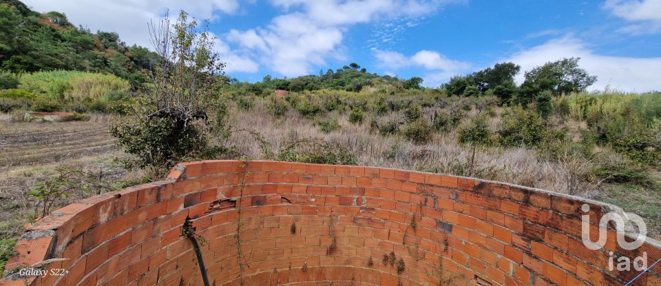 Terreno em Azueira e Sobral da Abelheira de 18 259 m²