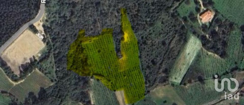 Terreno em Azueira e Sobral da Abelheira de 18 259 m²