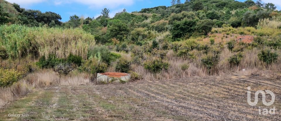 Terreno em Azueira e Sobral da Abelheira de 18 259 m²
