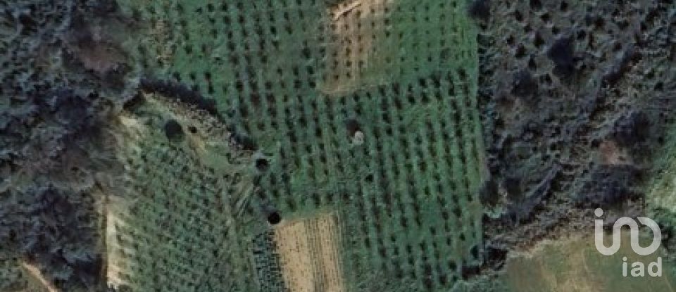 Terreno em Azueira e Sobral da Abelheira de 18 259 m²