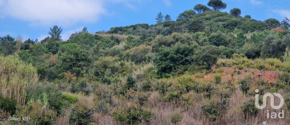 Terreno em Azueira e Sobral da Abelheira de 18 259 m²