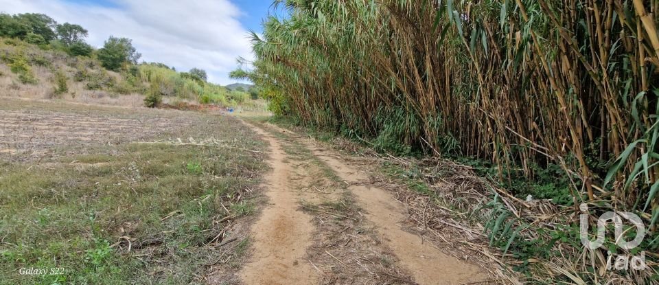 Terreno em Azueira e Sobral da Abelheira de 18 259 m²