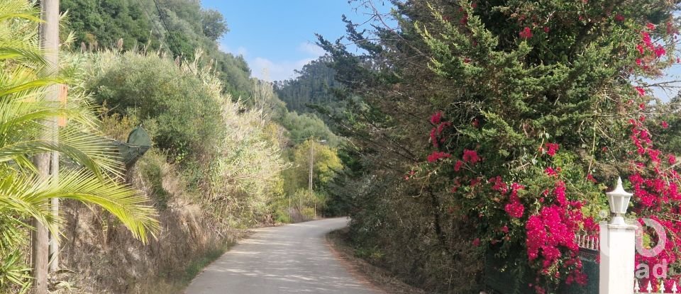 Terreno em Azueira e Sobral da Abelheira de 18 259 m²