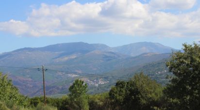 Terrain à bâtir à Lagos Da Beira E Lajeosa de 8 288 m²