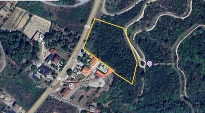 Terrain à bâtir à Lagos Da Beira E Lajeosa de 8 288 m²