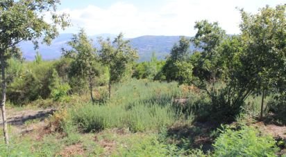 Terrain à bâtir à Lagos Da Beira E Lajeosa de 8 288 m²