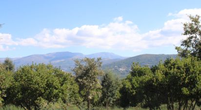 Terrain à bâtir à Lagos Da Beira E Lajeosa de 8 288 m²