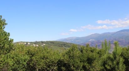 Terrain à bâtir à Lagos Da Beira E Lajeosa de 8 288 m²