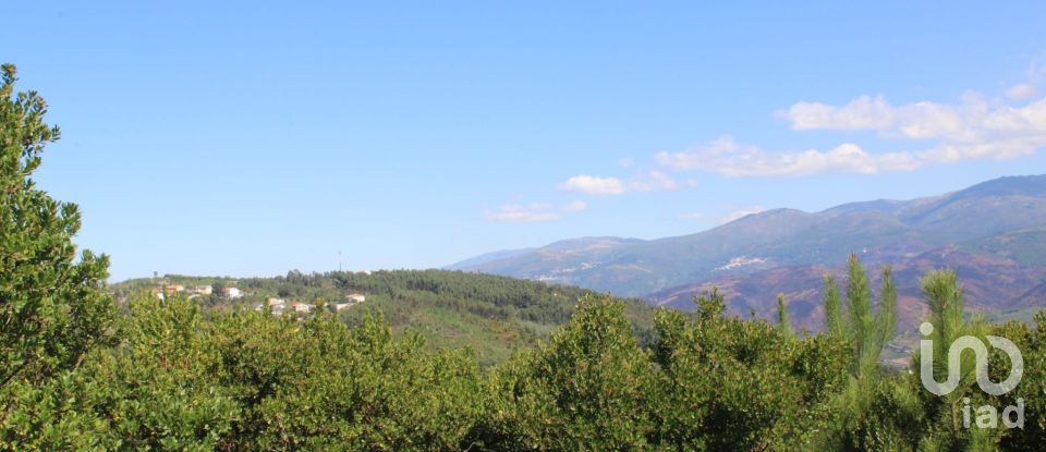 Building plot in Lagos Da Beira E Lajeosa of 8,288 m²