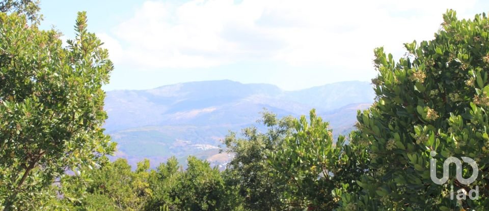 Building plot in Lagos Da Beira E Lajeosa of 8,288 m²