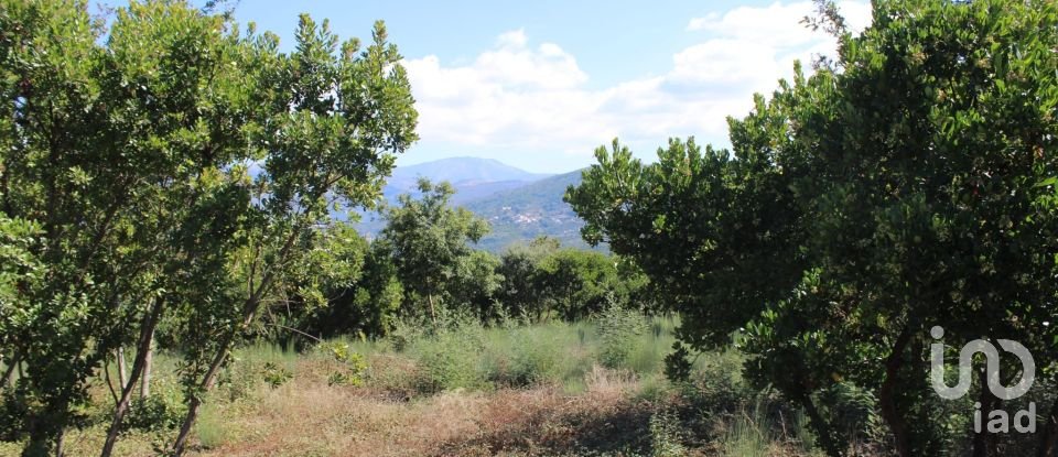 Building plot in Lagos Da Beira E Lajeosa of 8,288 m²