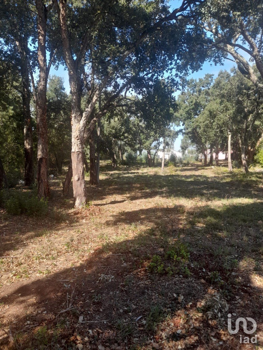 Terrain agricole à Aljubarrota de 3 250 m²