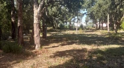 Terrain agricole à Aljubarrota de 3 250 m²